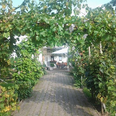Ferienweingut Arnold Thiesen Apartment Bruttig-Fankel Exterior photo