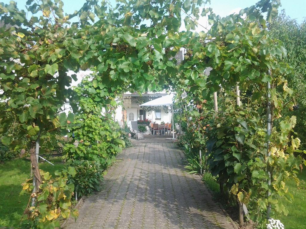 Ferienweingut Arnold Thiesen Apartment Bruttig-Fankel Exterior photo